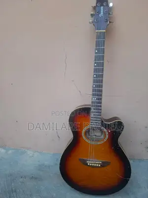 Semi Acoustic Guitar