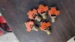 Fire Sprinkler System - 3