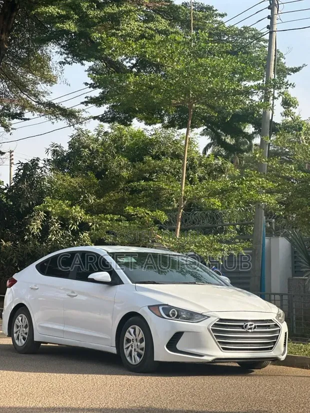 Hyundai Elantra 2017 White - 1