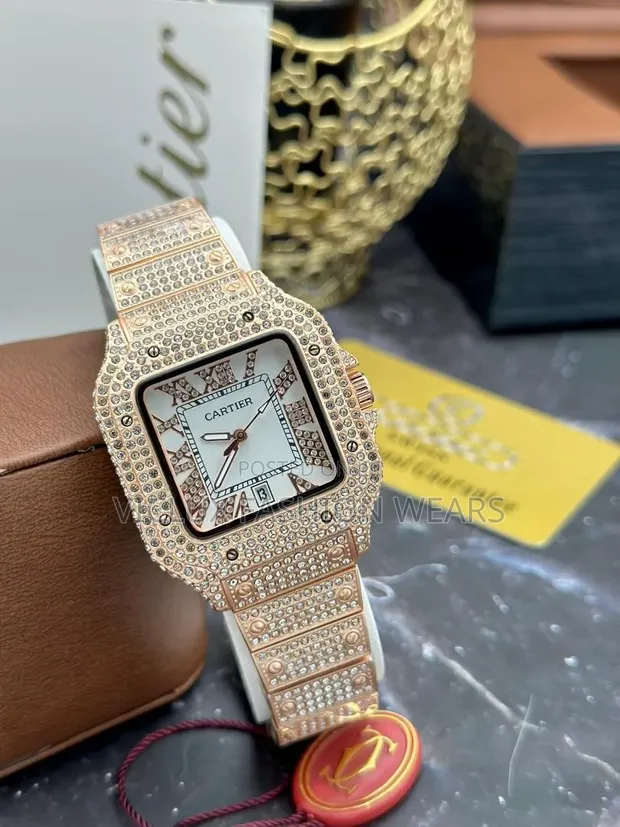 Cartier Ice Quality Mechanical Wrist Watch - 1