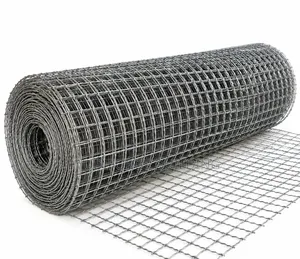 Crimped Mesh don Gine-gine & Shinge