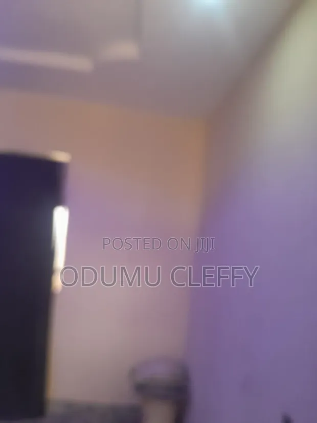 Mini Flat for Rent in Dogongada, Lokogoma - 1