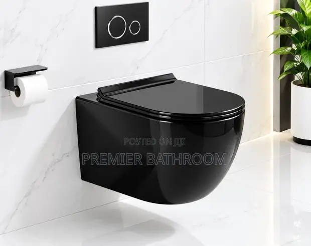 Master Concealed Water Closet - Black - 1