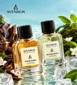 Avenrox Perfume - Classy & Sophisticated - 1