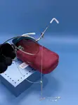 Brand New Gucci Eyewear with Chain - 2