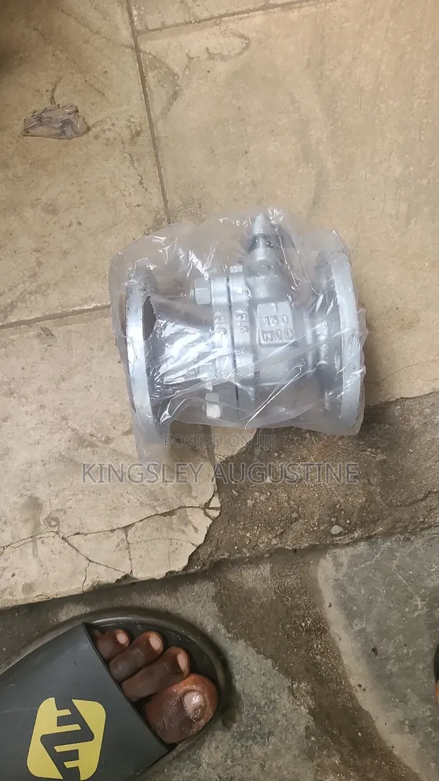 Check Valve - 1