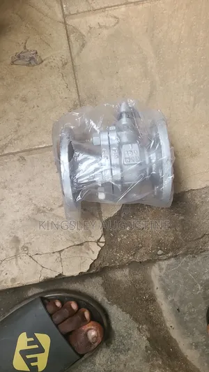 Check Valve