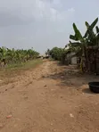 5 Acres + 3 Plots Agricultural Land for Sale, Kajola, Atan - 1