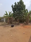 5 Acres + 3 Plots Agricultural Land for Sale, Kajola, Atan - 2