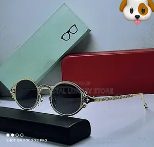 Christian Dior Luxury Men's Sunglasses