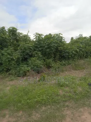 1.47 Hectares Land for Sale in Apo Dutse, Abuja
