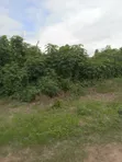 1.47 Hectares Land for Sale in Apo Dutse, Abuja - 2