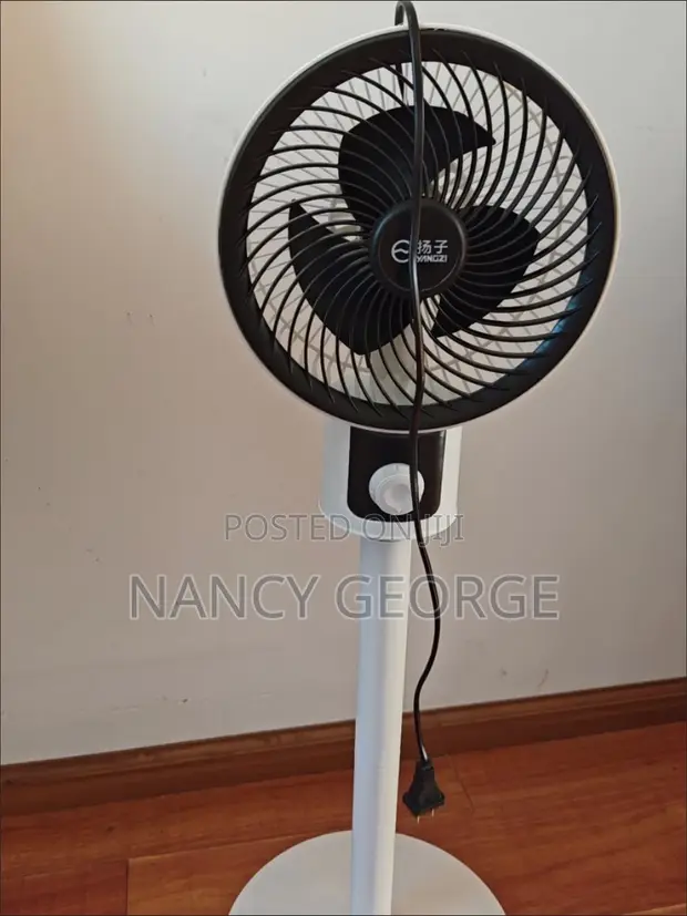 Yangzi Floor Fan - Brand New - 1