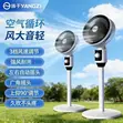Yangzi Fan na Kasa - Sabon Abu - 2