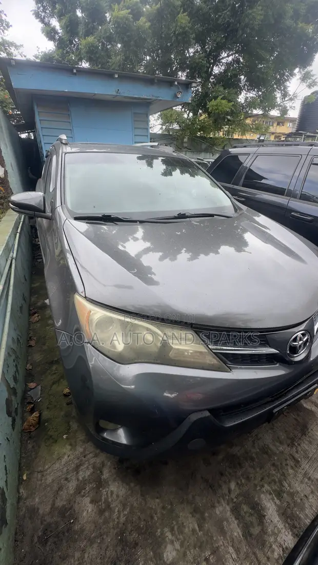 Toyota RAV4 2015 Gray - 1