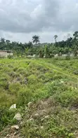 1 Acre Industrial Land with Fish Pond in Sagamu - 1