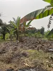 1 Acre Industrial Land with Fish Pond in Sagamu - 2
