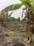 1 Acre Industrial Land with Fish Pond in Sagamu - 3