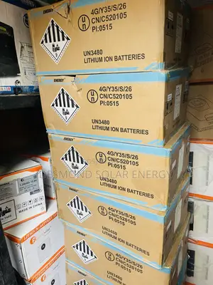 Cworth 2kWh 24V Lithium Ion Battery - Brand New