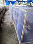 BSF Margot Protein Feed - 2