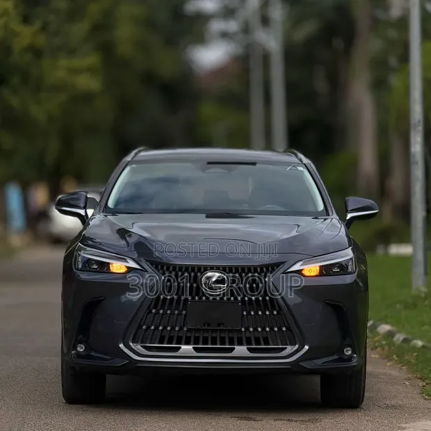Lexus NX 250 2025 Black - 1