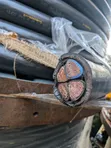 Armored Cable 4 Core - 2