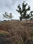 539sqm Residential Land for Sale, Centenary City - 4