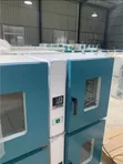 Electric Constant Temperature Blast Drying Oven - 2
