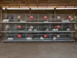 SOK Steel Rabbit Cage System with Feeders & Drinkers - 3