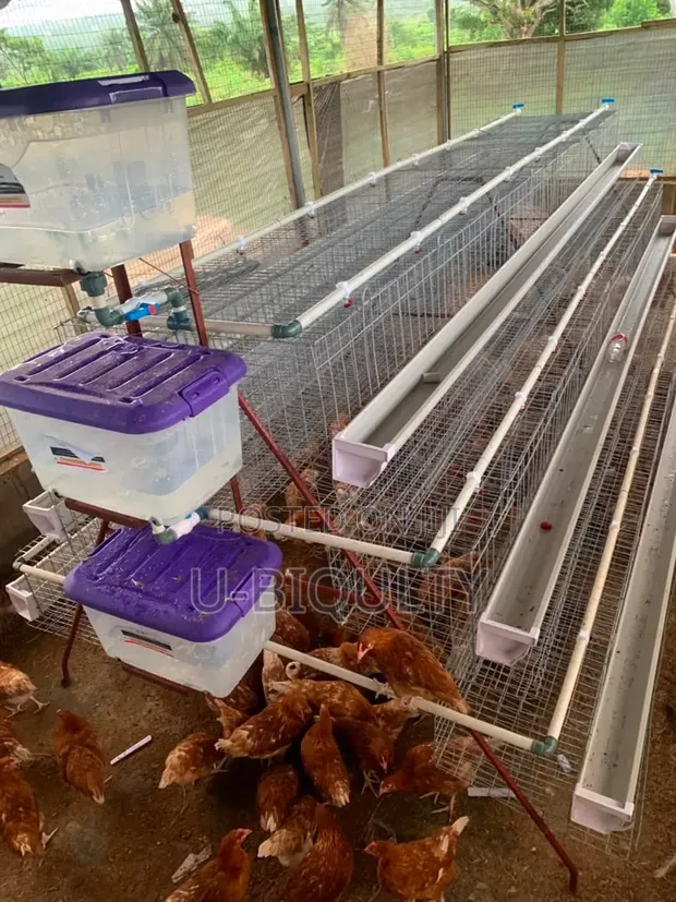 Battery Cage - 96, 120, 160 Capacity - 1