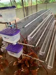 Battery Cage - 96, 120, 160 Capacity - 1