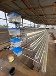Battery Cage - 96, 120, 160 Capacity - 2