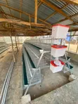 Battery Cage - 96, 120, 160 Capacity - 3