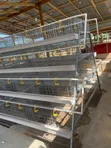Battery Cage - 96, 120, 160 Capacity - 4