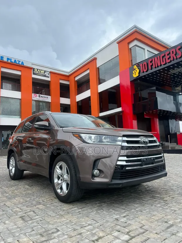 Toyota Highlander XLE 2019 Brown - 1