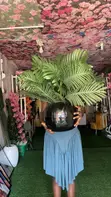 Decorative Accessories - 1