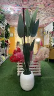 Decorative Accessories - 2