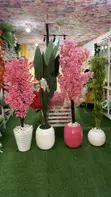 Decorative Accessories - 4
