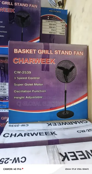 Charweek CW-2539 18-Inch Basket Grill Rechargeable Standing Fan