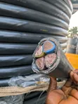 4-Core Armored Cable - 1