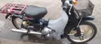 Qlink Legacy 250 2020 White - 1