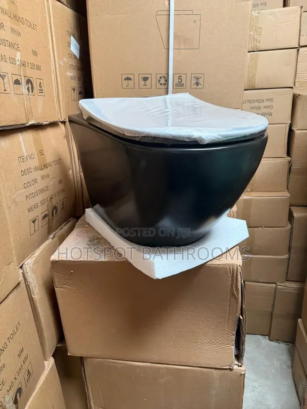 Master Wall Hung Water Closet (Dual Flush) - 1