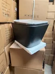 Master Wall Hung Water Closet (Dual Flush) - 2