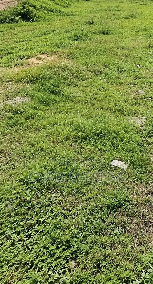 1078sqm Residential Plot for Sale in Twin Lakes Estate, Chevron - 1