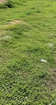 1078sqm Residential Plot for Sale in Twin Lakes Estate, Chevron - 1