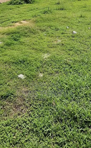 1078sqm Filin Zama don Siyarwa a Twin Lakes Estate, Chevron