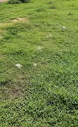 1078sqm Residential Plot for Sale in Twin Lakes Estate, Chevron - 2