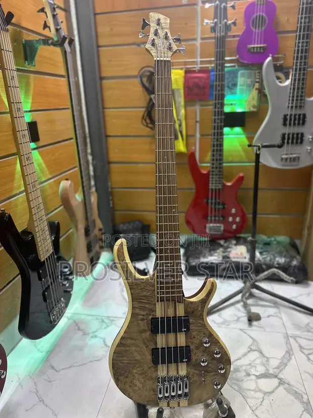 Luxars S-B60-5 5-String Active Bass Guitar - 1