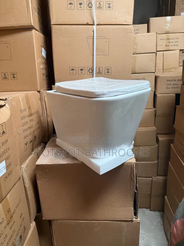 Ideal White England Conceal Wall Hung WC - 1