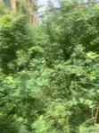 Residential Plot for Sale, Ojo After Trade Fair Agric Bustop - 2